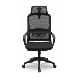 Electro Master Zimbabwe Black Ergonomic Office Chair with Headrest