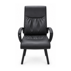 Electro Master Zimbabwe Black High-Back Visitor Chair
